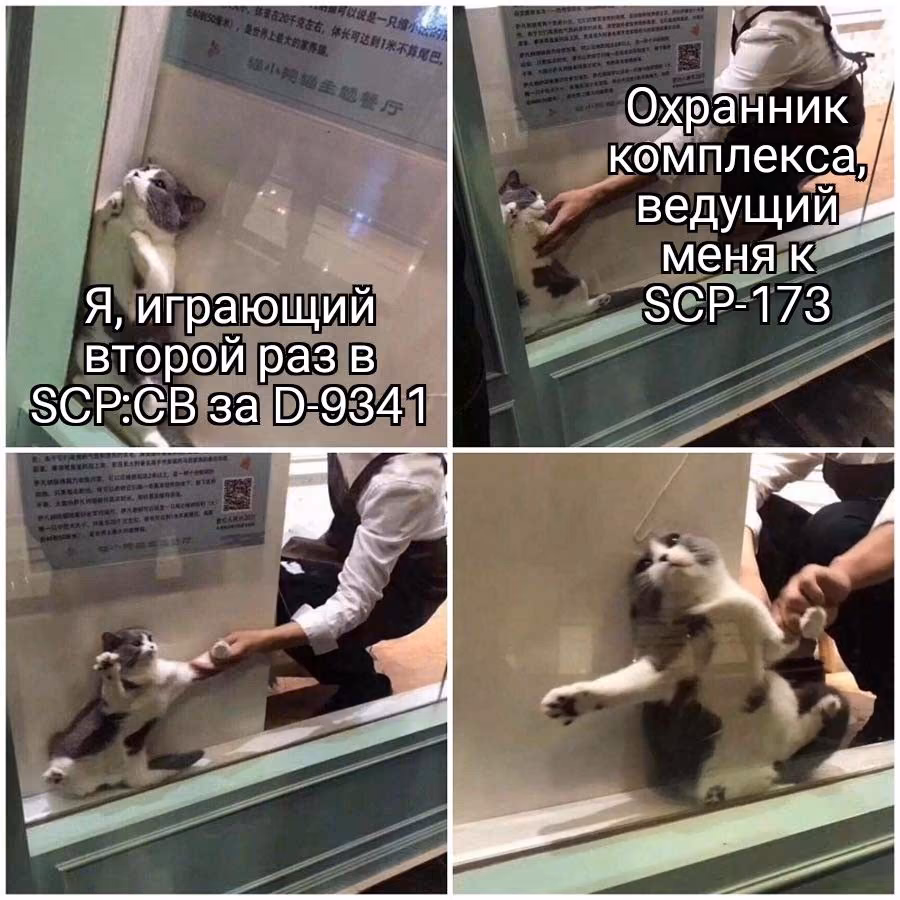 69453bc6b4b26e63c94b38a500fbb793.avif