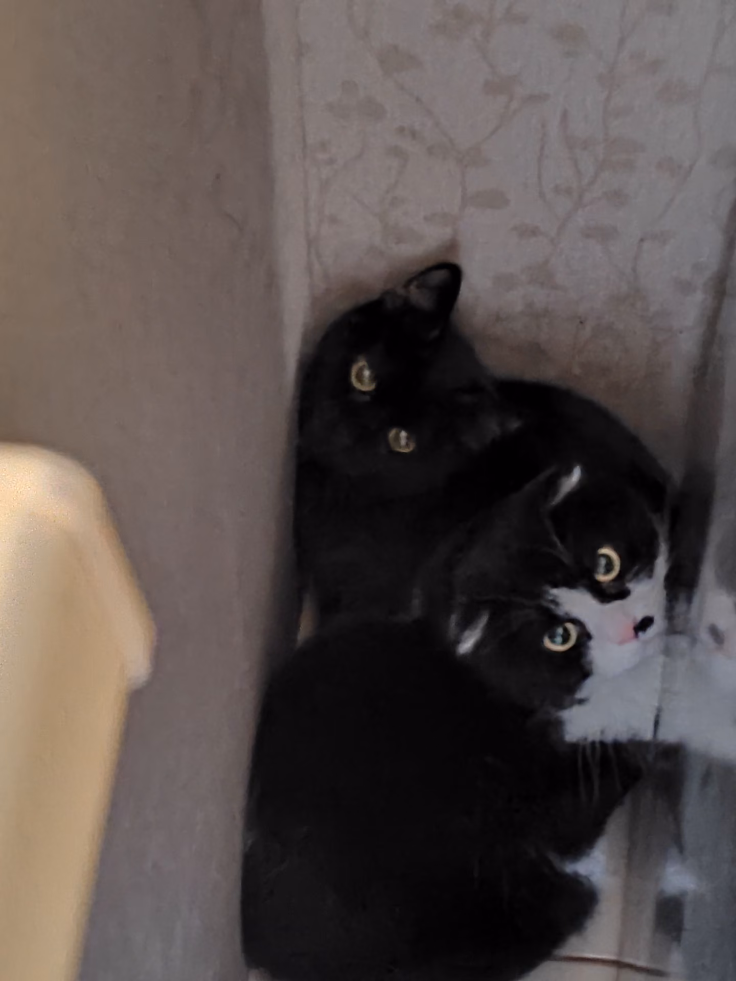 6948675b056a12e7bb0bc883562ac3bb.jpg