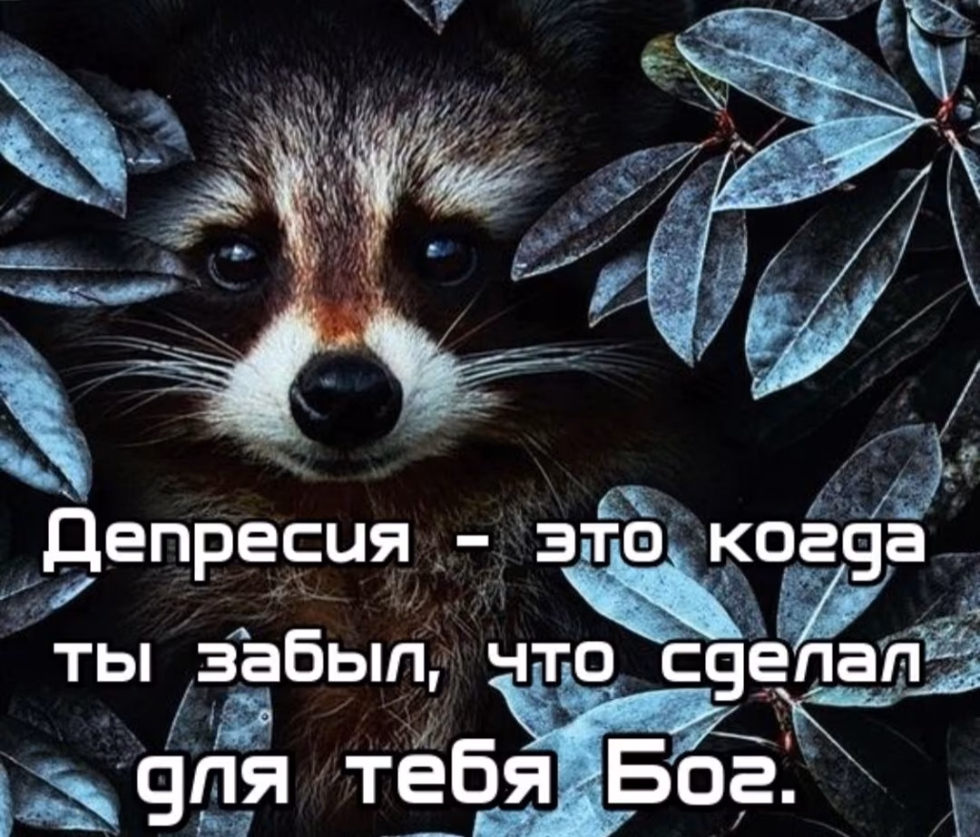 694c7ce32b629718643c9b654bcb8c1b.jpg