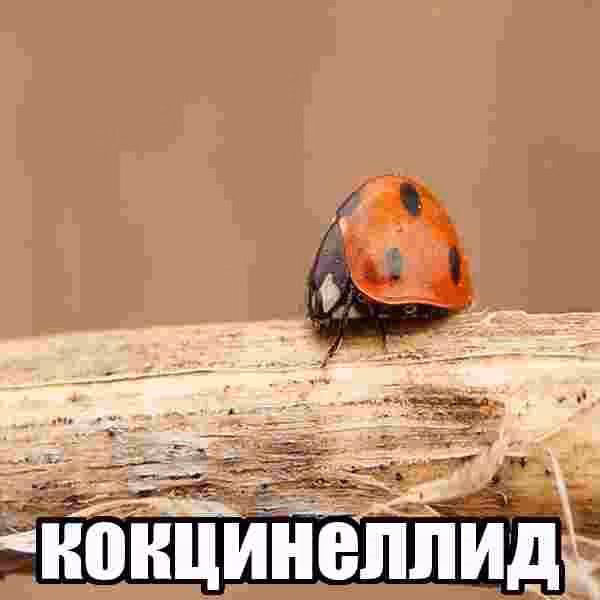 694d23ea6557fb8c67ac0b7747646843.jpg