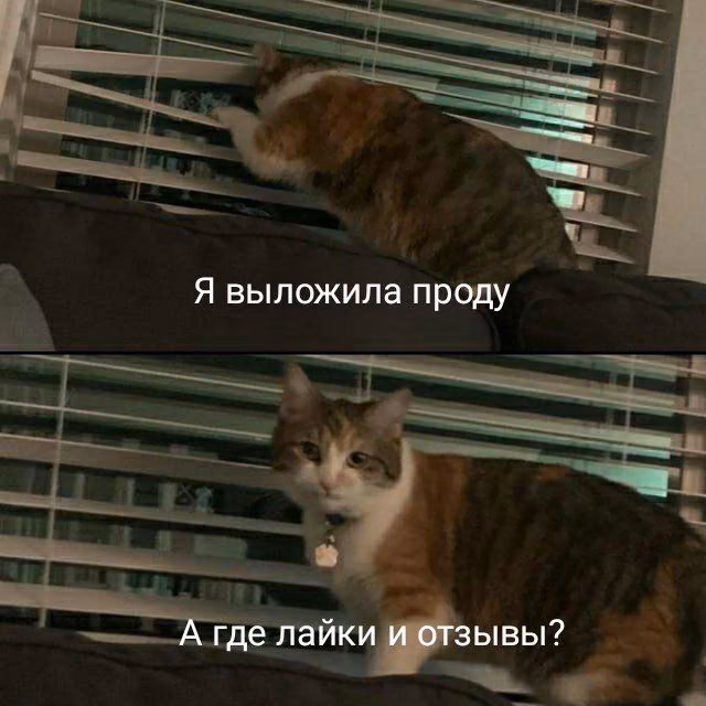 695875b379311a47a9af38232cc1b551.avif