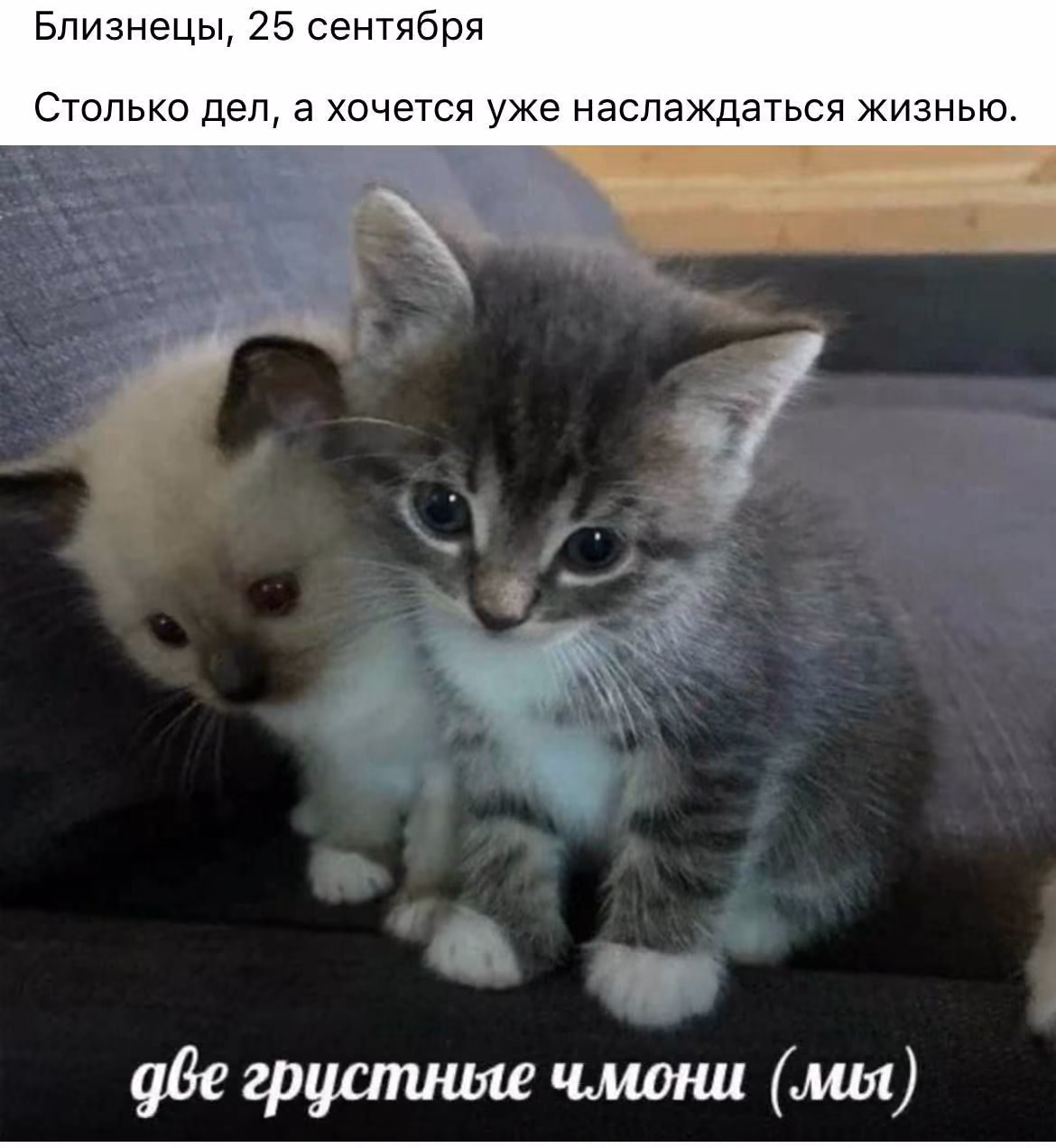 6959dd0af800f5e53522860f16518927.jpg