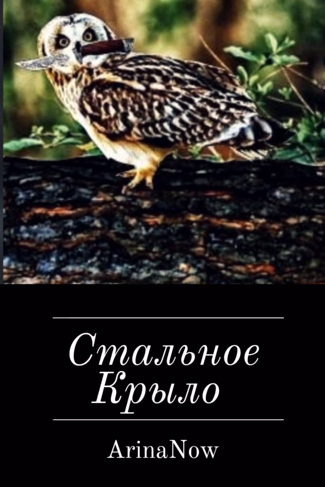 6962fd6f1381b9b48cb4639dbfd2515c.jpg