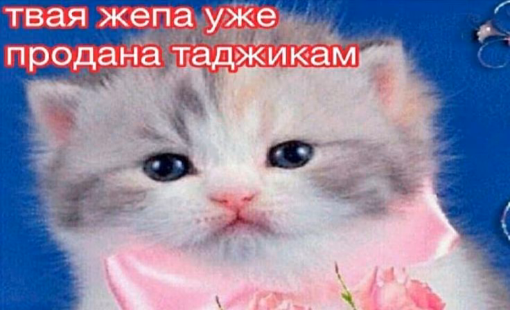696705bb239d618c284b3e04b2f37f8d.jpg