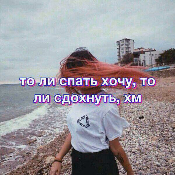 69683cfb7b37fb5390ed310794e302c1.avif