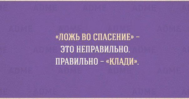 6979bf1ab9d571cc54c3e69f46d3a632.avif