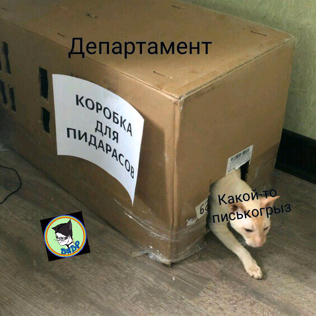 69ad8cb1a28463f5b261261785197ae2.avif