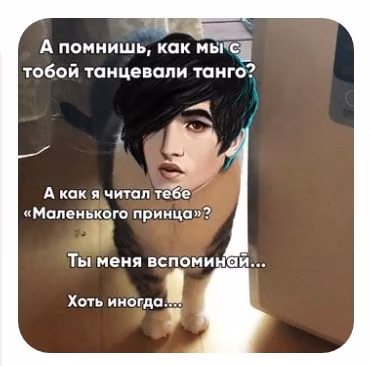 69bc2d9bd931ffd7d80cbf2f87112869.avif