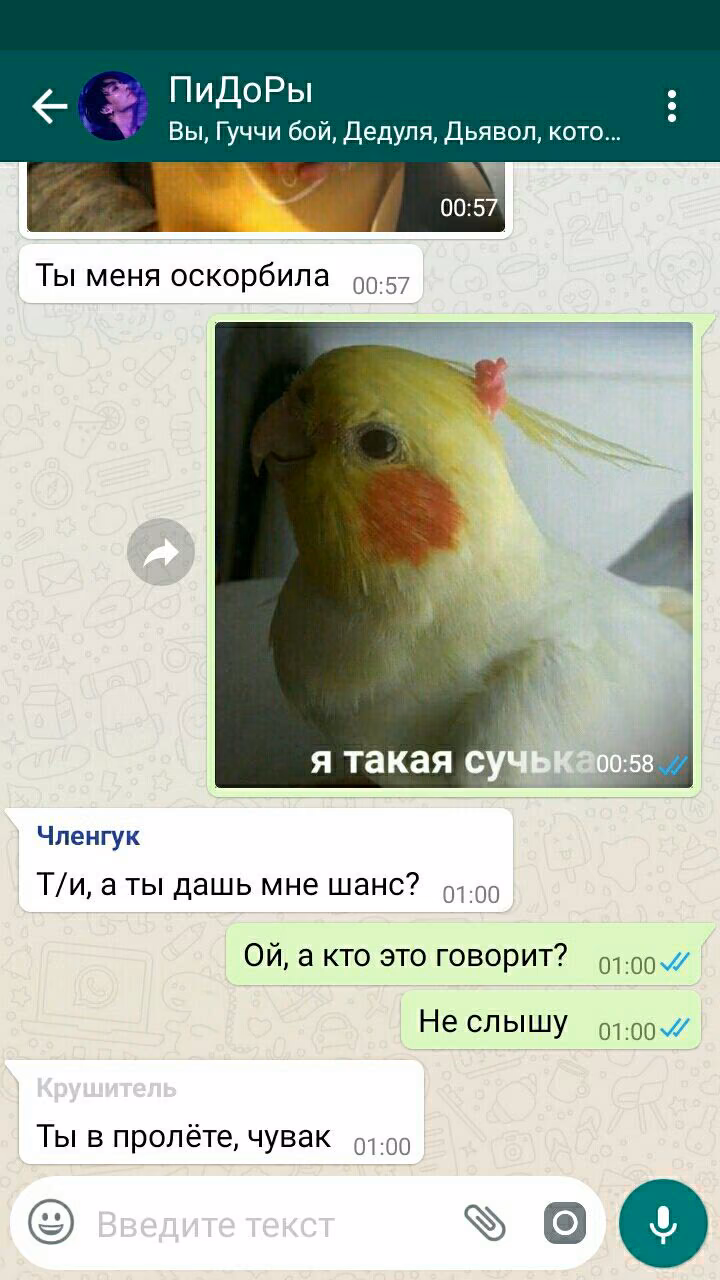 69d1c017fa2c708a26858d03651dbf7d.avif