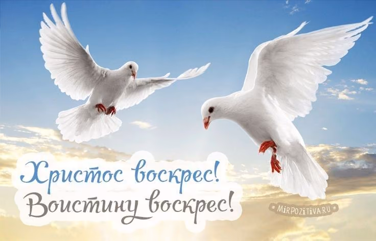 69d2e3259a6a793b14fdcfe79cd5f48a.avif