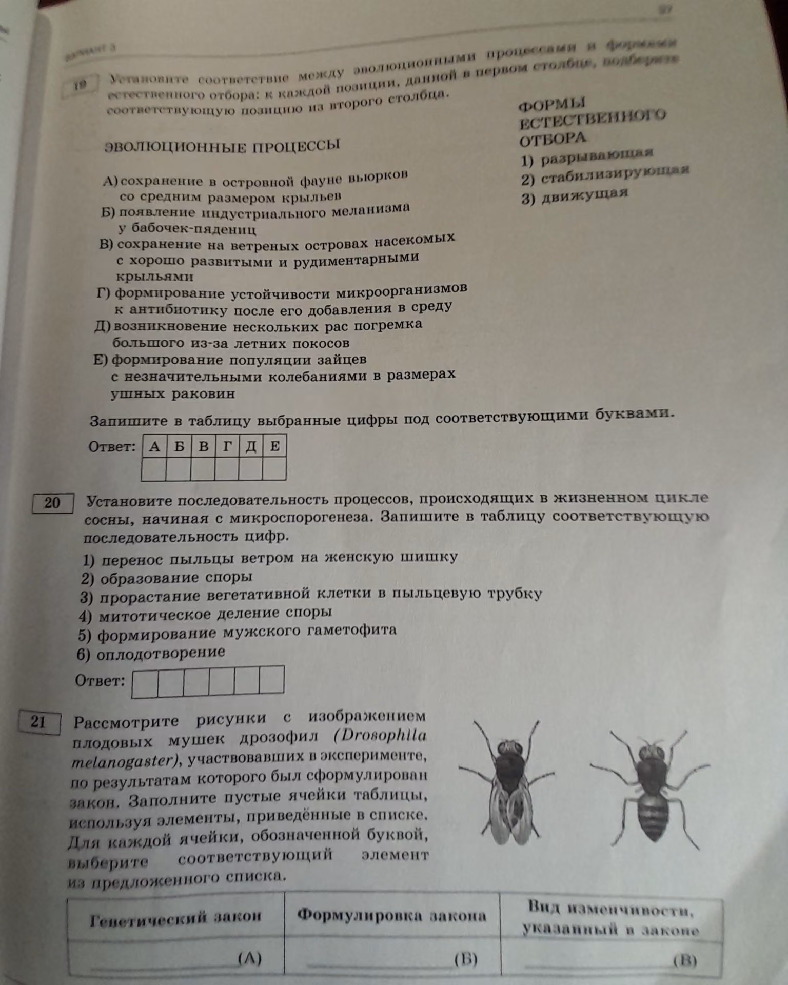 69d8cdbf3cc0e790298333b1f6b3b7cb.avif