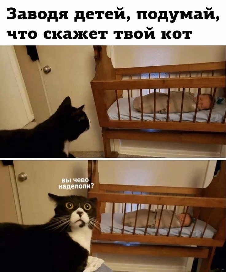 69e3baee9e410de91a333008ddfd15af.jpg