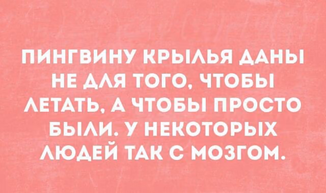 69e690ea45b88da43b84cf824ade16d8.avif