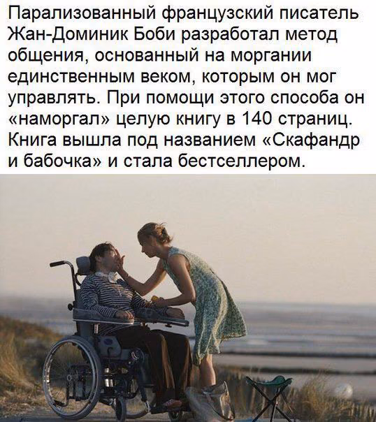 69f047165929998d4580de65d5be3c1c.avif