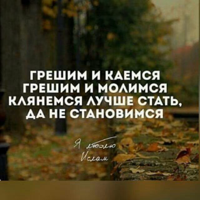 6a09b3ed0392d96faccec1eac5bbff17.jpg