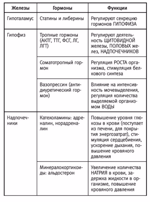 6a23902025c4bfb3f7a4861c8b5f81f7.jpg