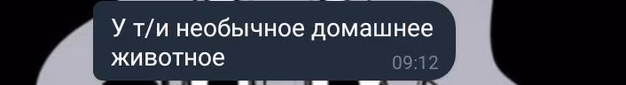 6a31807057f271ee532b6508d6ba22fb.avif