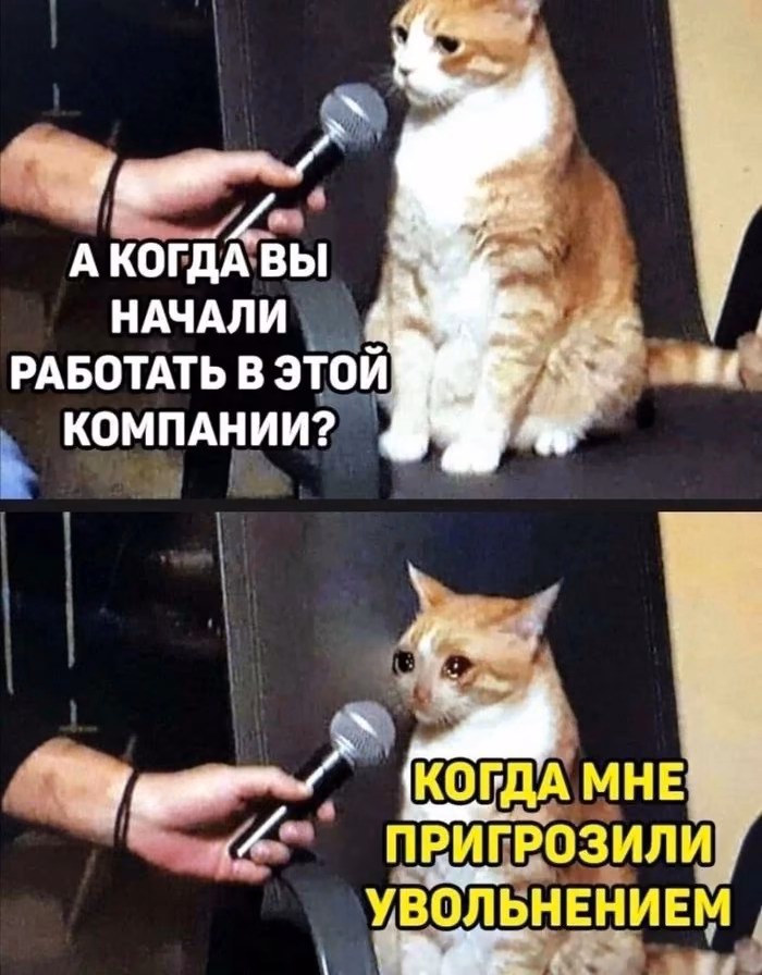 6a472c582b022218c3df02628b143b71.jpg