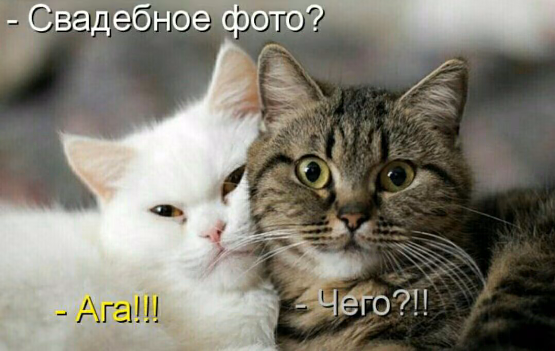 6a52cbdf30926ee743327f832fd1bc7f.jpg