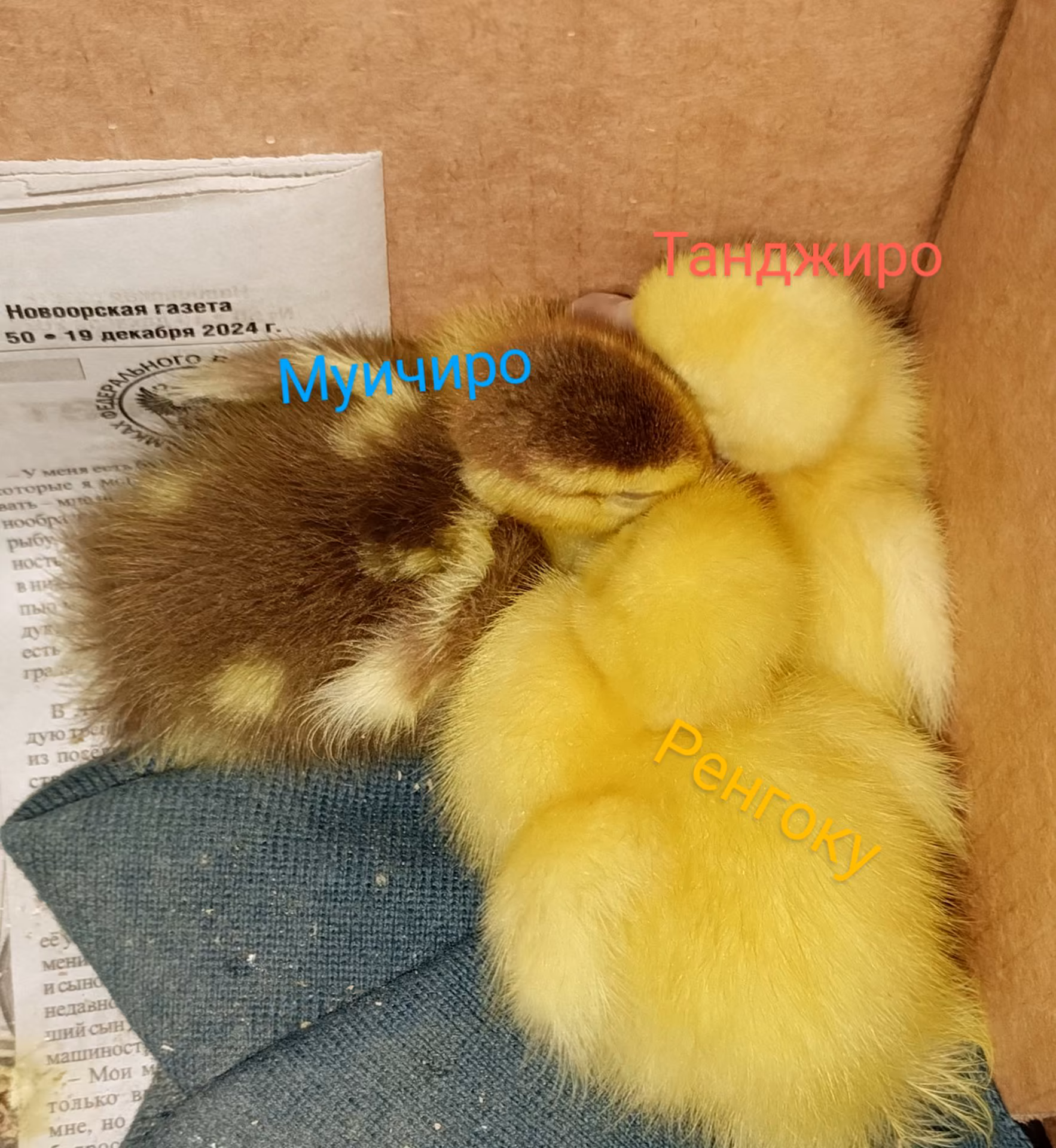 6a658cc392ae50717252b84c39792bfd.avif