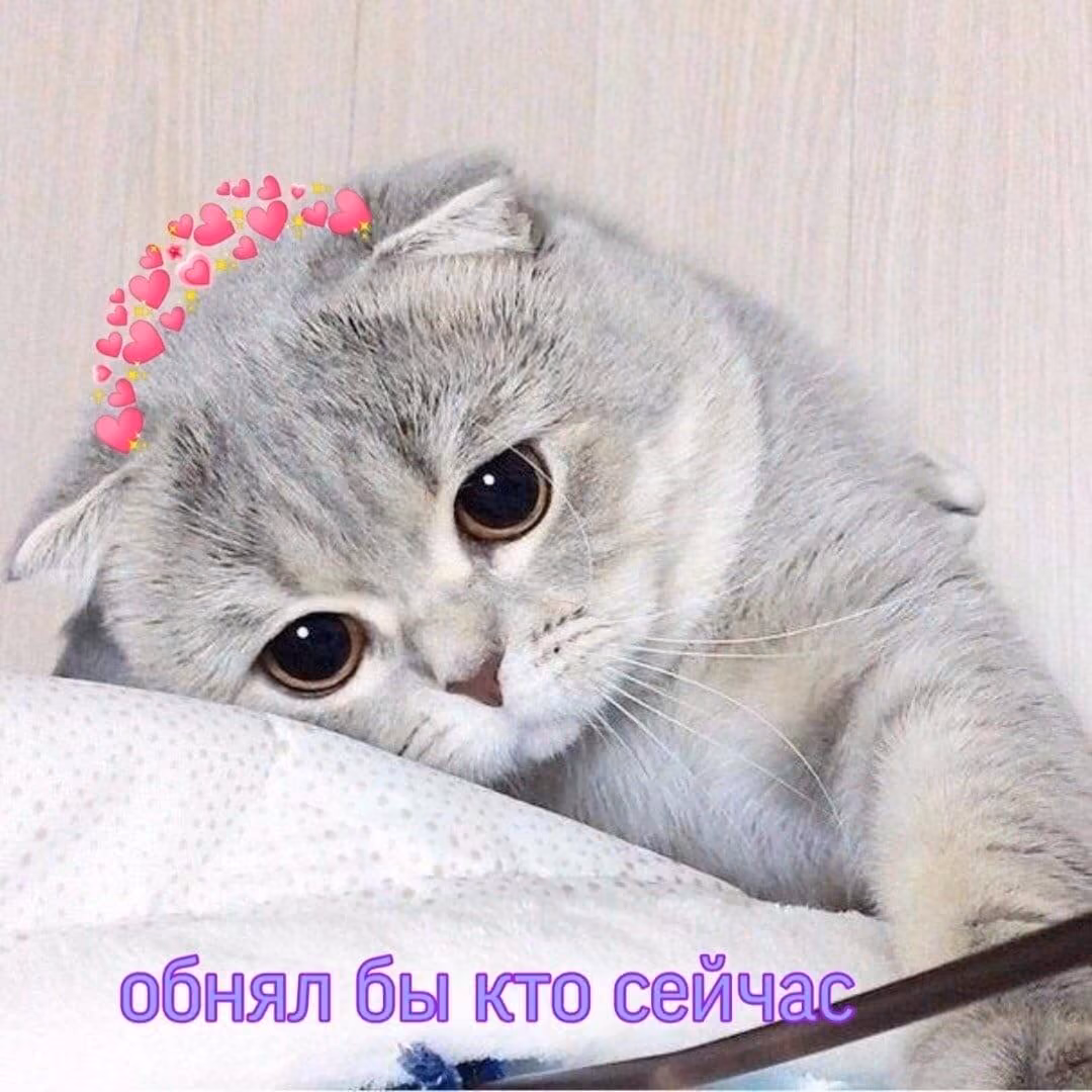 6a7a276e1ce10567e7058529f7a08714.jpg