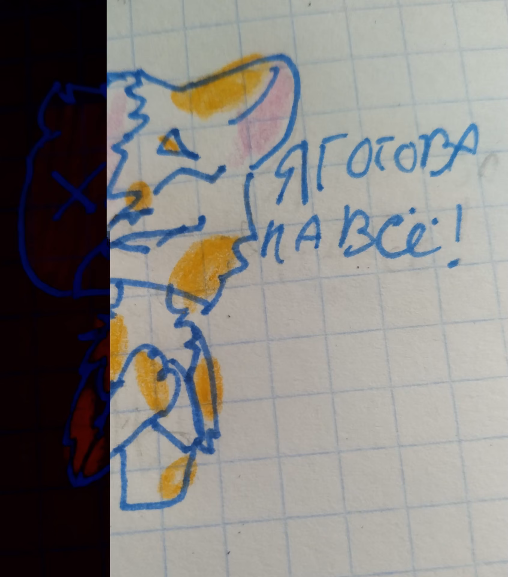 6a7bebbf630e8e8e6e88eed3570f3c02.jpg