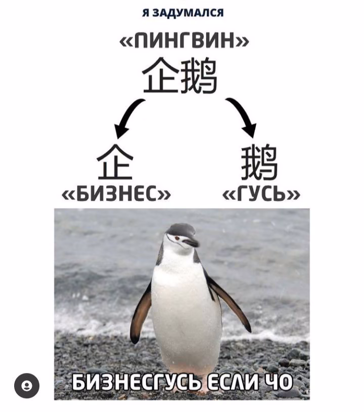 6a89359aac02f3a0e271825ad8abc881.avif