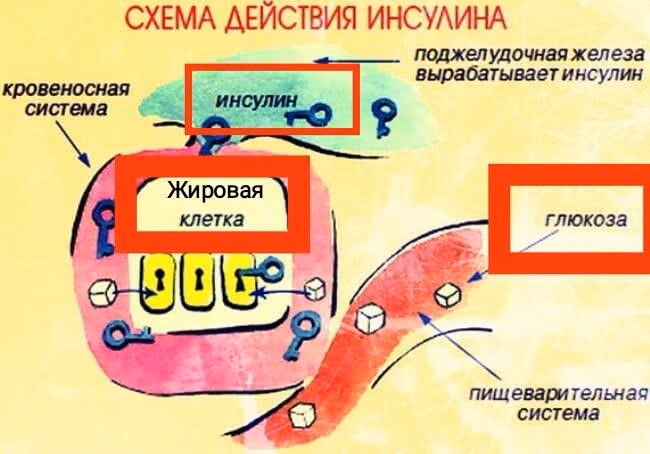 6a9c7ed3c8335dedb39e1d90890eba04.avif