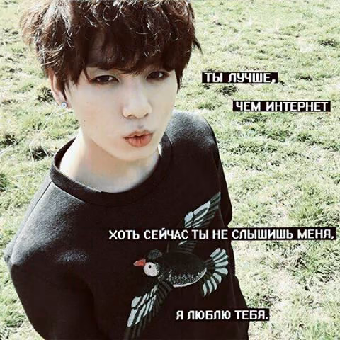 6aa1b62c6b43ffdbeb6230a10db6f16f.jpg