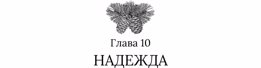 6aaf874920aa86c780deeba54e3cd3cf.jpg