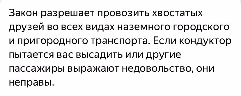 6ac7db21462d5e460ee2916aa7d50f19.avif