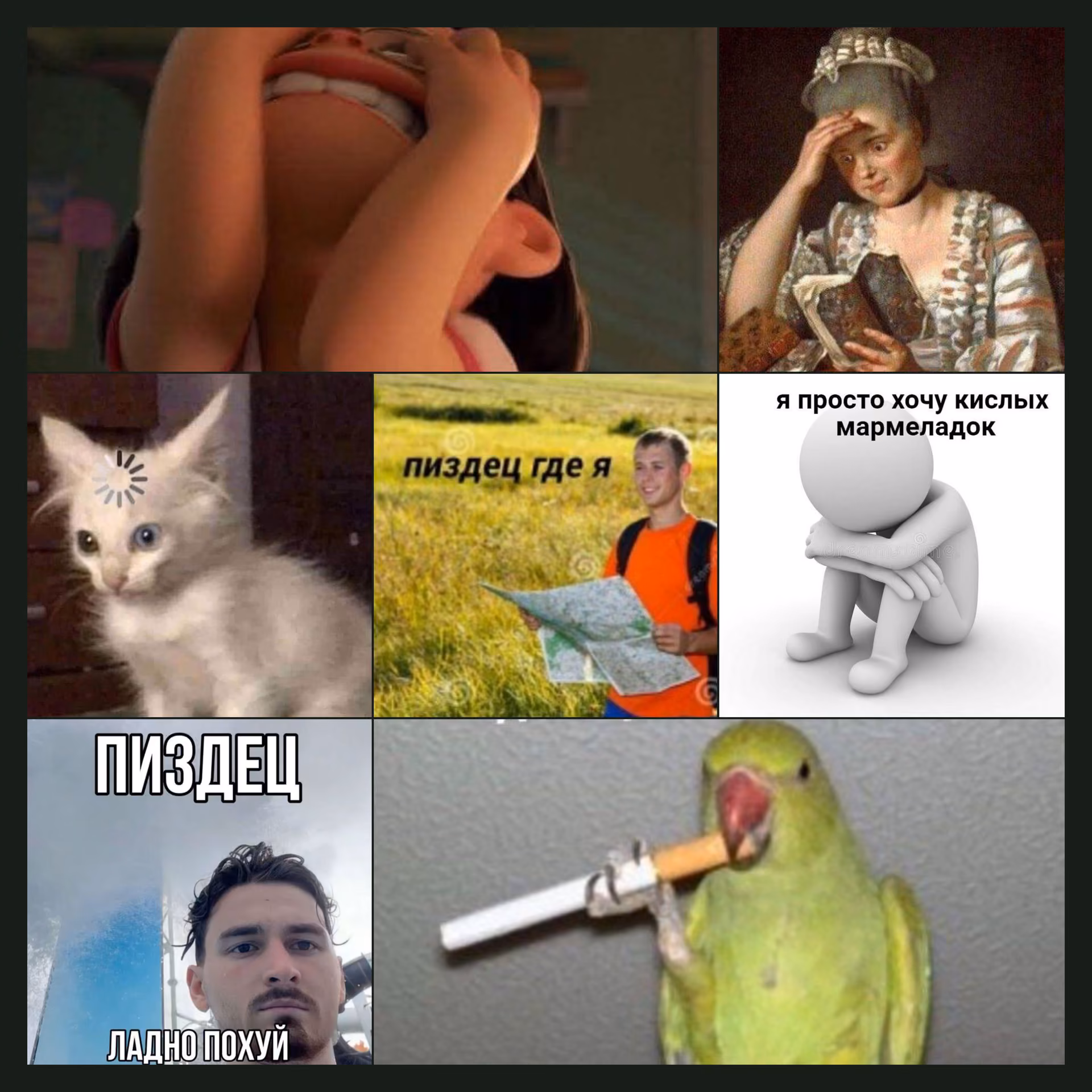 6ad9d5203630f1cd0f4b5ec3940ccf0a.avif