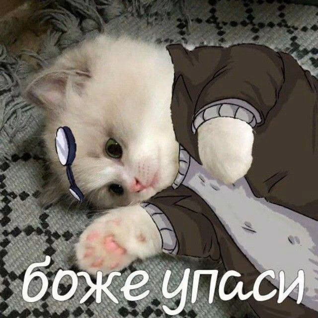 6adc35a2353670bb5ebbcbb48bb4f9e2.jpg
