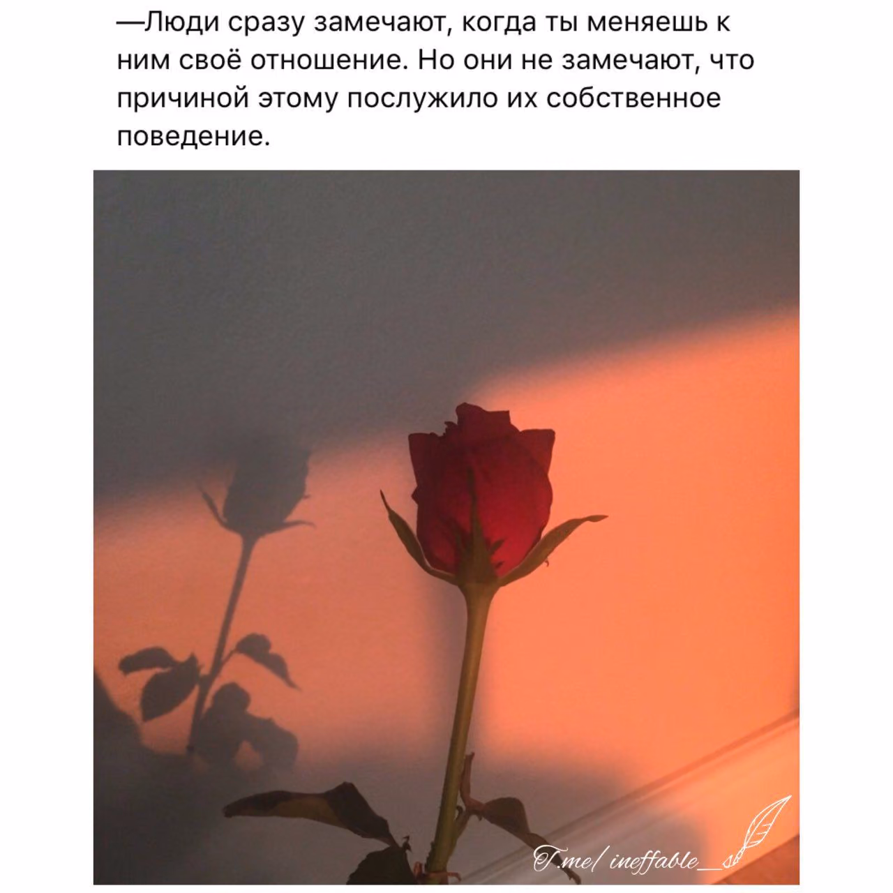 6adc847ac3bf86a42c4378aaa9fcd4c3.jpg