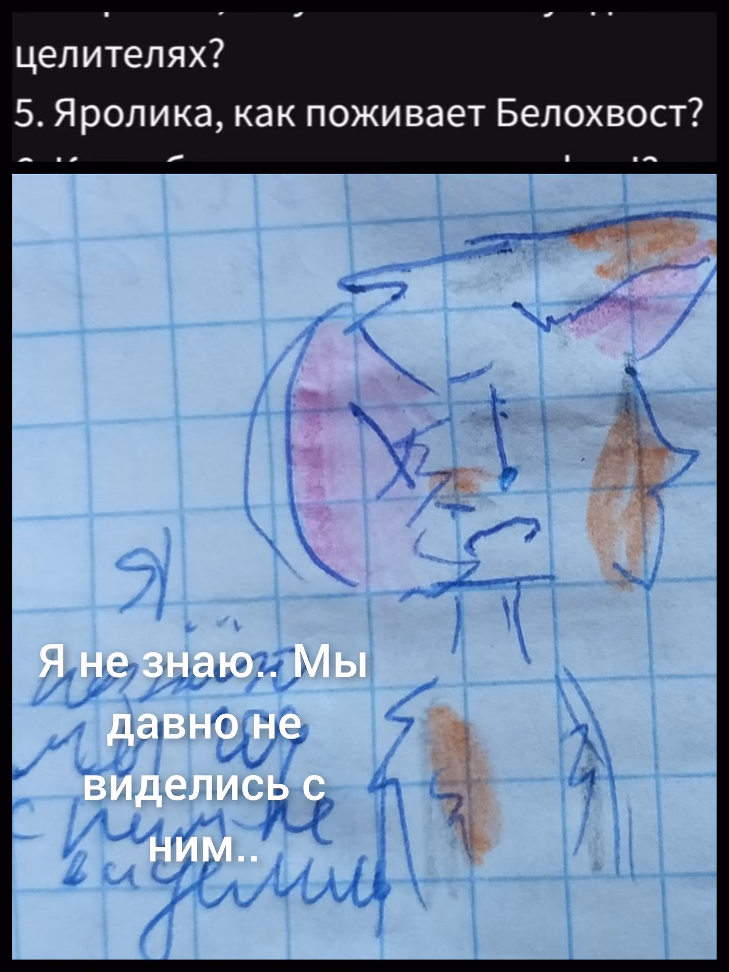 6adfce3f005ce7bb115d20522982de3f.avif