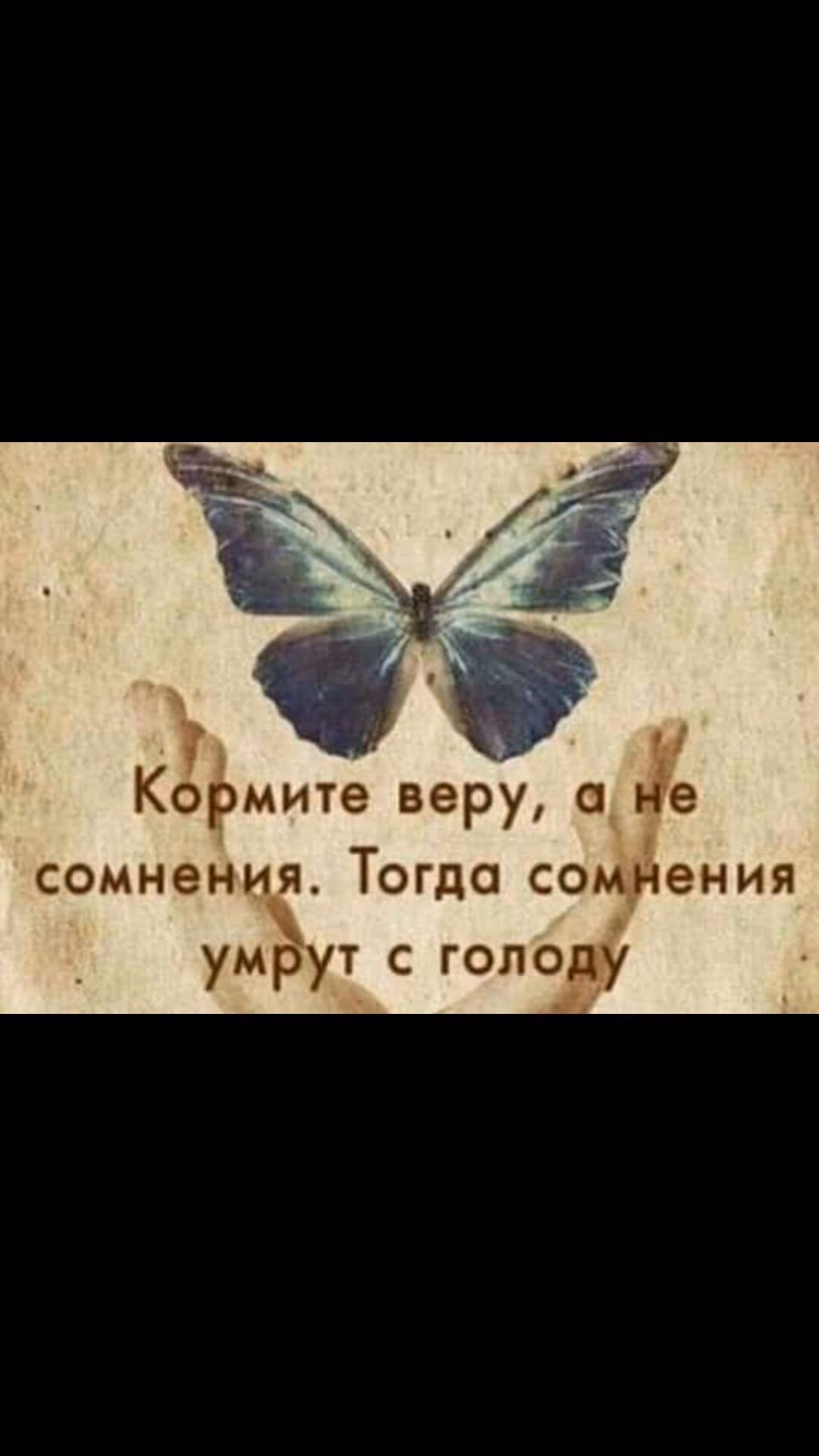 6ae11889b6cf413076140c62df868c60.jpg