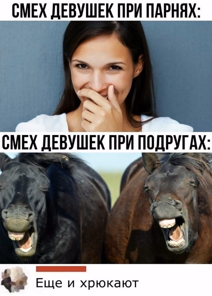 6aec0255412d107b9220b75333685283.jpg
