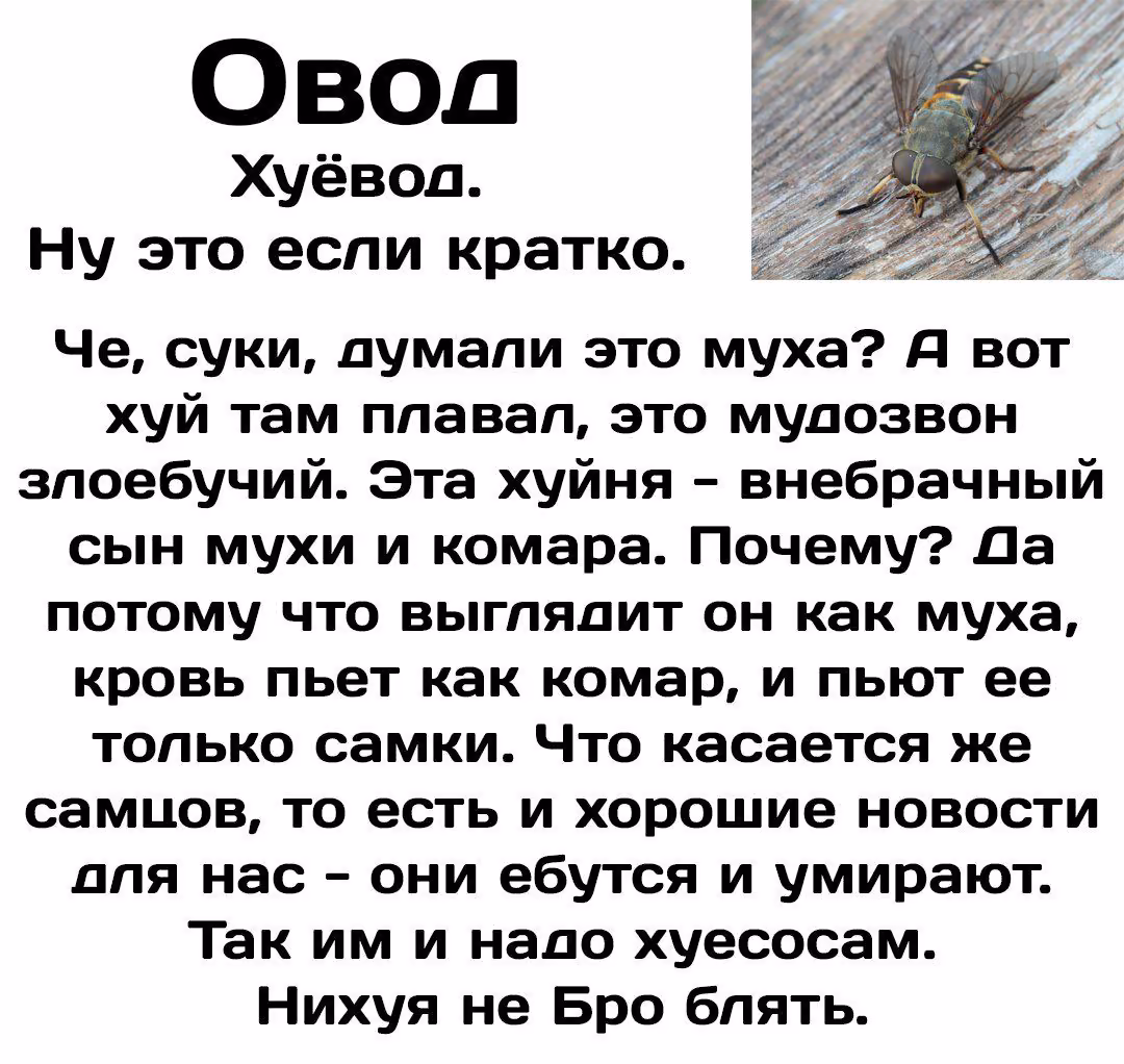 6aeee49816647db616f6f9495eb9422d.jpg