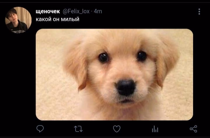 6af19ca0d6bd5ff0f342b22d6d6058c3.jpg
