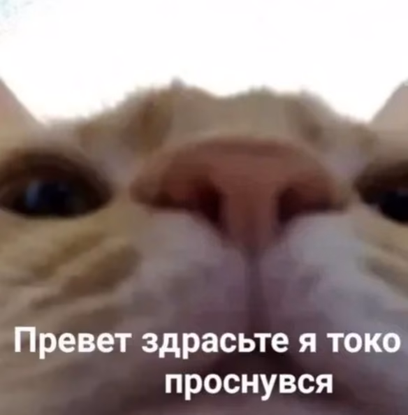 6b2de34655ad9684f8f70999454f2038.jpg