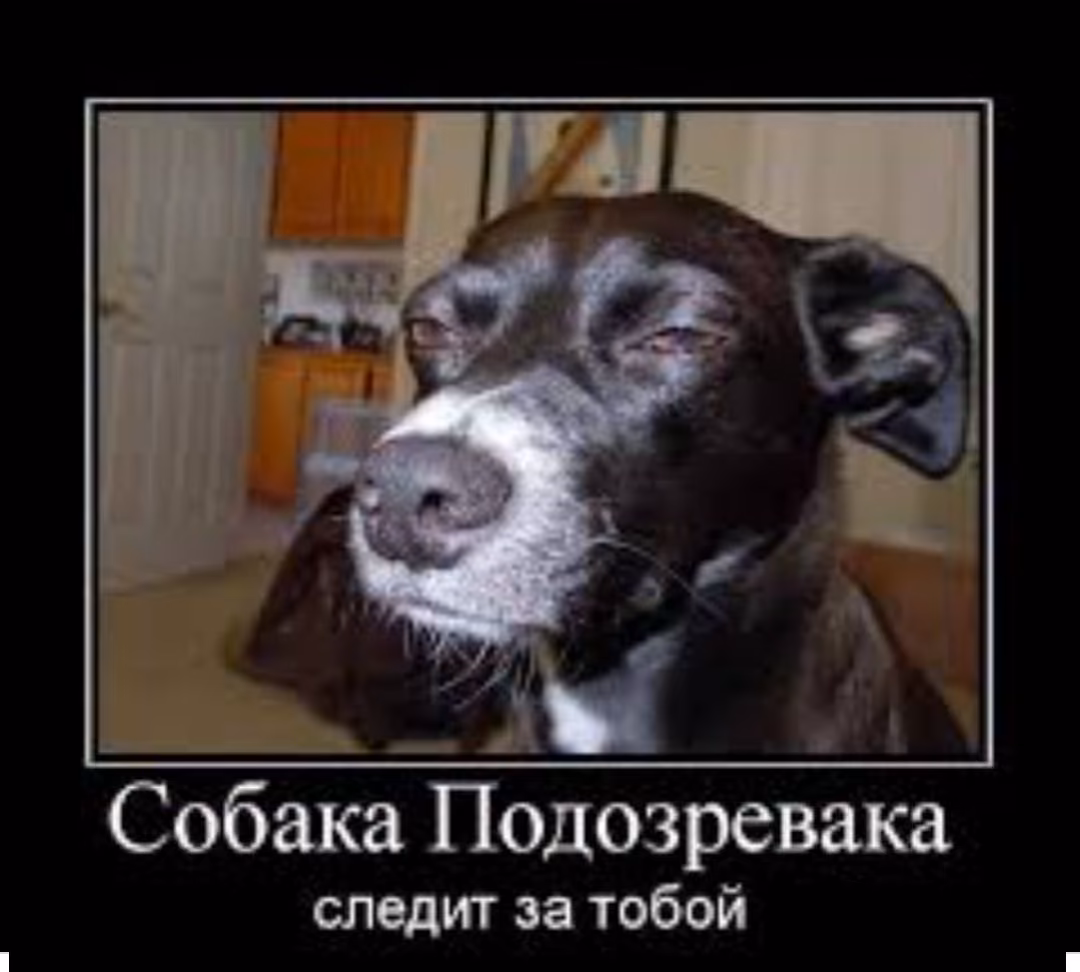 6b2fc7a96f6a55dc4cdd67c5c2038cd4.avif