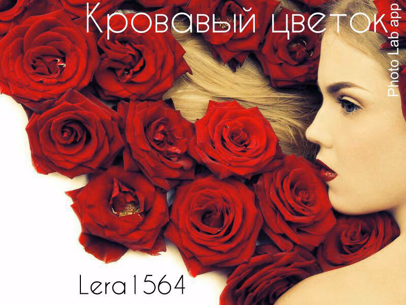 6b300ce81028328ccb05974dc75afcae.jpg