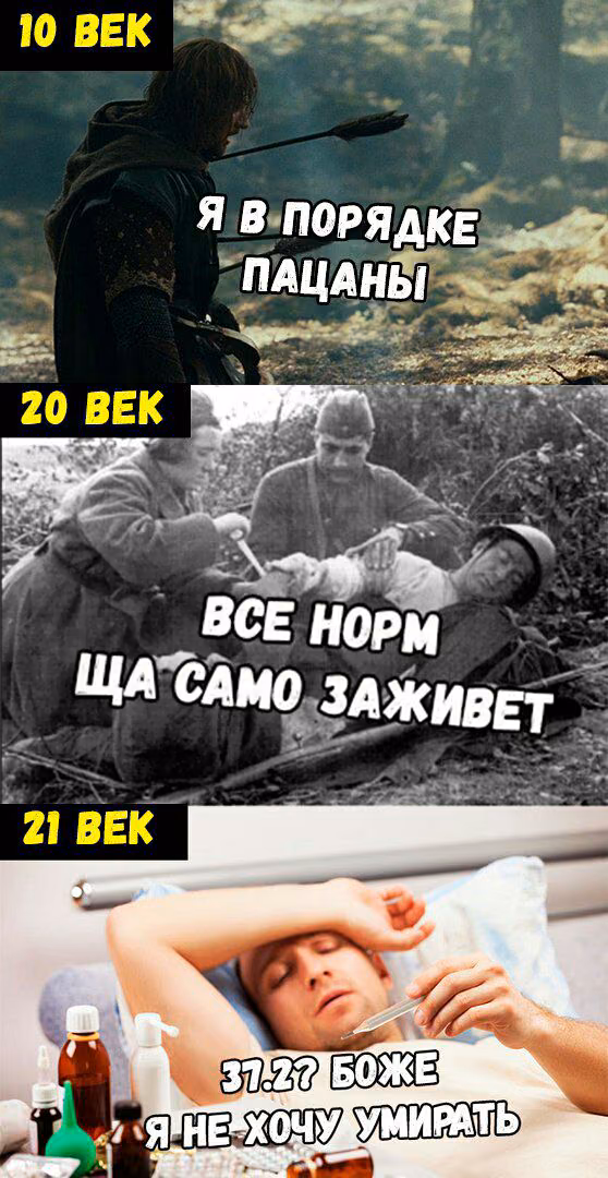 6b31c93900ce61c0d8b7c6ee6ba7107d.avif