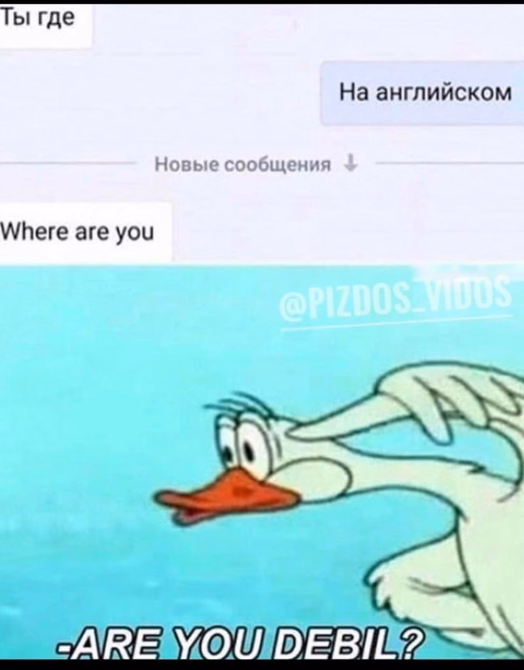 6b346a33b1e2aa6c605af9d3c0f37ac9.jpg