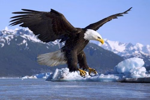 6b455c18dbfecd3377fafae82d460df8.jpg