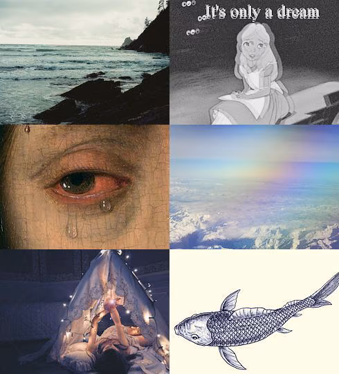 6b4b7e32ca559c26c27367d95277b6bb.avif