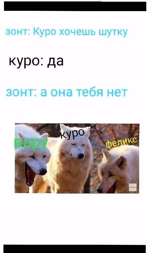 6b4c490f0adc498afc0f7f0a9a973d9a.jpg