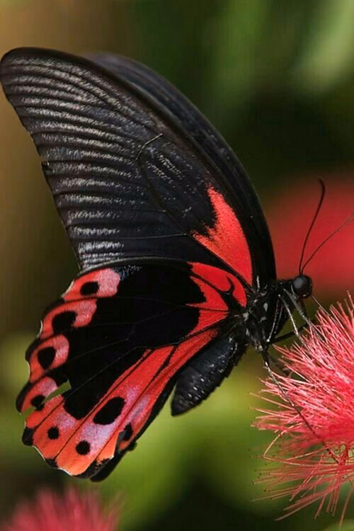 6b53b1ddaeb907651c844237fd530ab7.avif