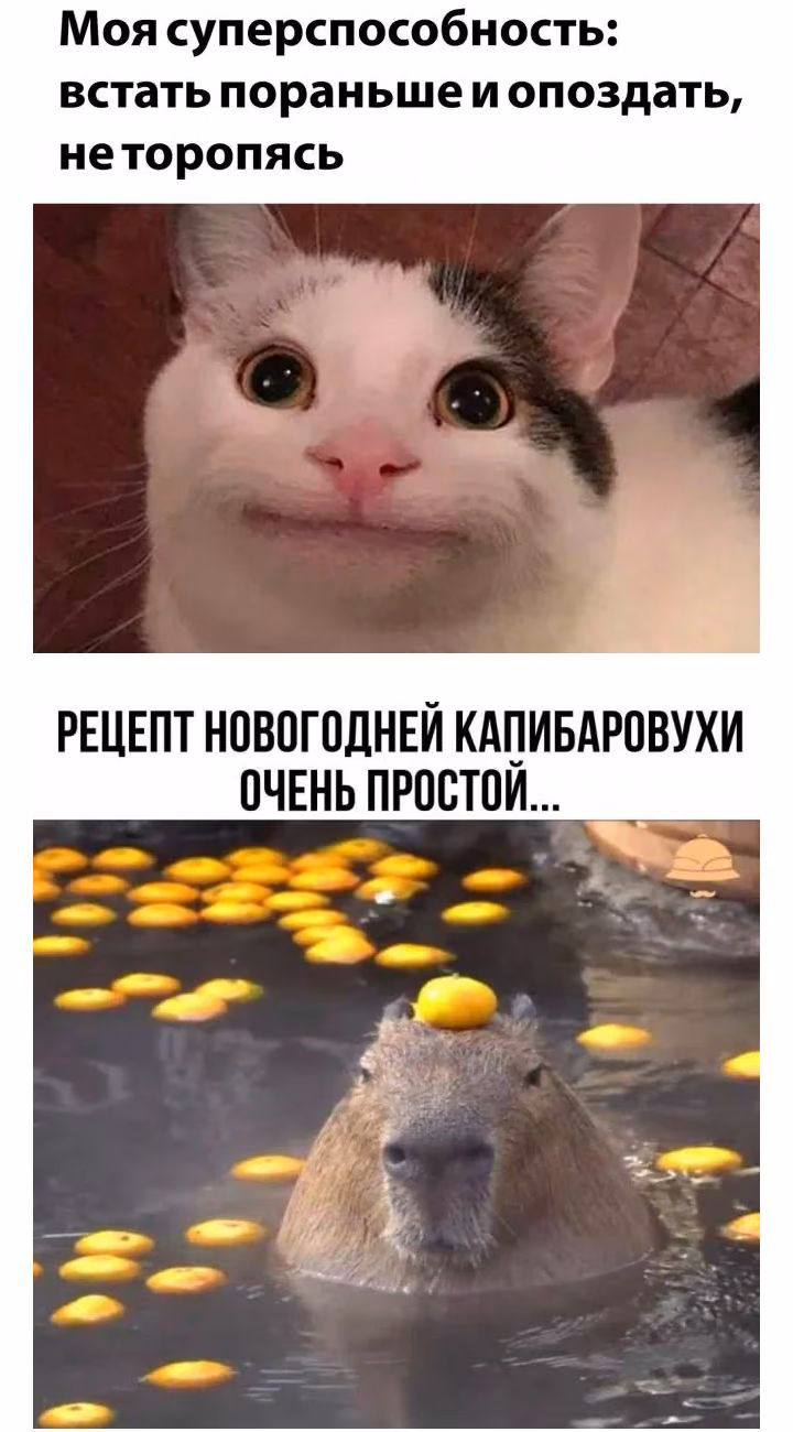 6b68f7a9d4bf32f511a47be1323f2b7c.jpg