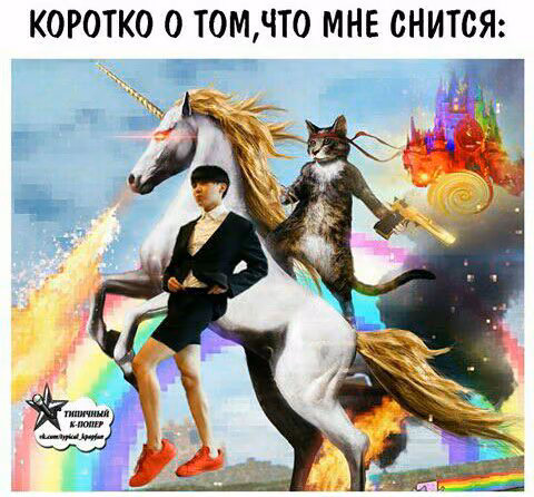 6b6bfc4ba77e151243ef46fbdb898c2c.avif